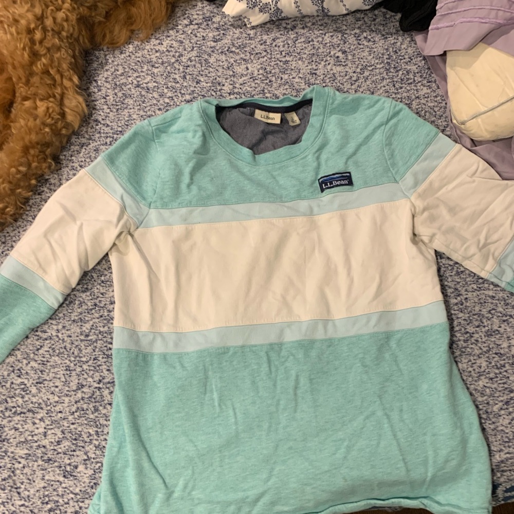LL Bean size small sweater